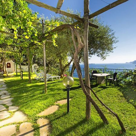 الشقق الفندقية بوسيتانوفي  I Giardini Dei Sensi المظهر الخارجي الصورة